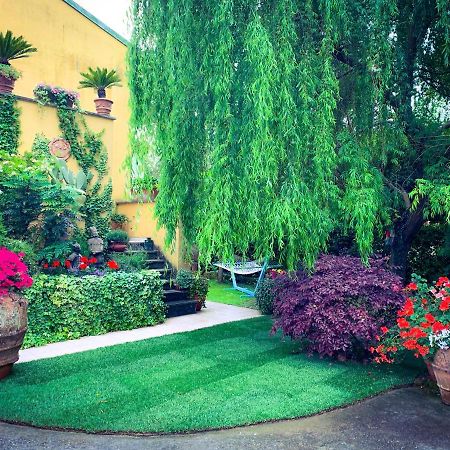 Le Pinette Bed & Breakfast Ameglia Ngoại thất bức ảnh