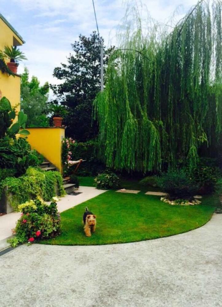 Le Pinette Bed & Breakfast Ameglia Ngoại thất bức ảnh